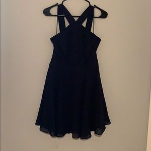 Lulus skater style dress